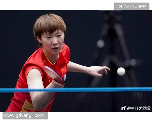 南京排球队战术分析与表现评估大满贯点评